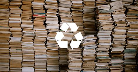 Can You Put Books in Recycling? And Why Do Trees Hate Paper Cuts?