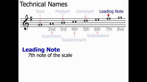 How Many Musical Scales Are There: Exploring the Infinite Possibilities of Sound