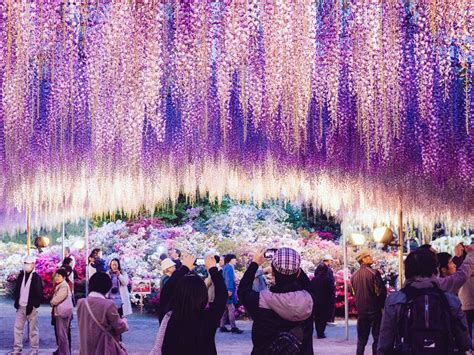 サミット芦花公園: 都市の緑と文化の交差点